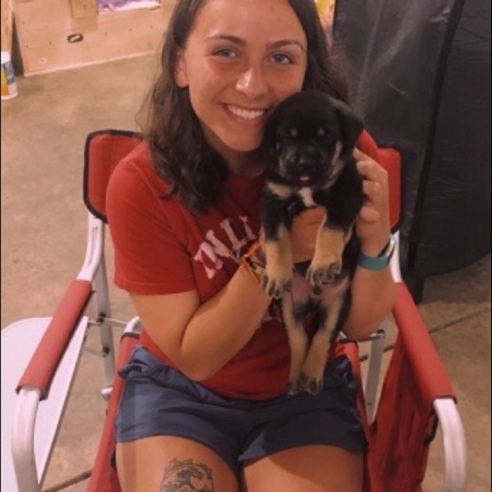 Meet your Posher, Sammy